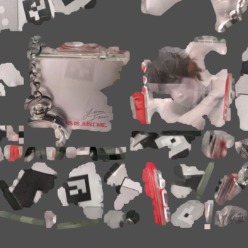 The texture of the 3D object.