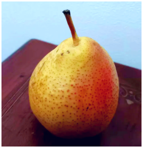 This is a pear with a nice mix of colors, it matches the book I added.