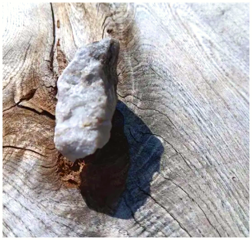 Sliver shining rock I found in my aunt's backyard.